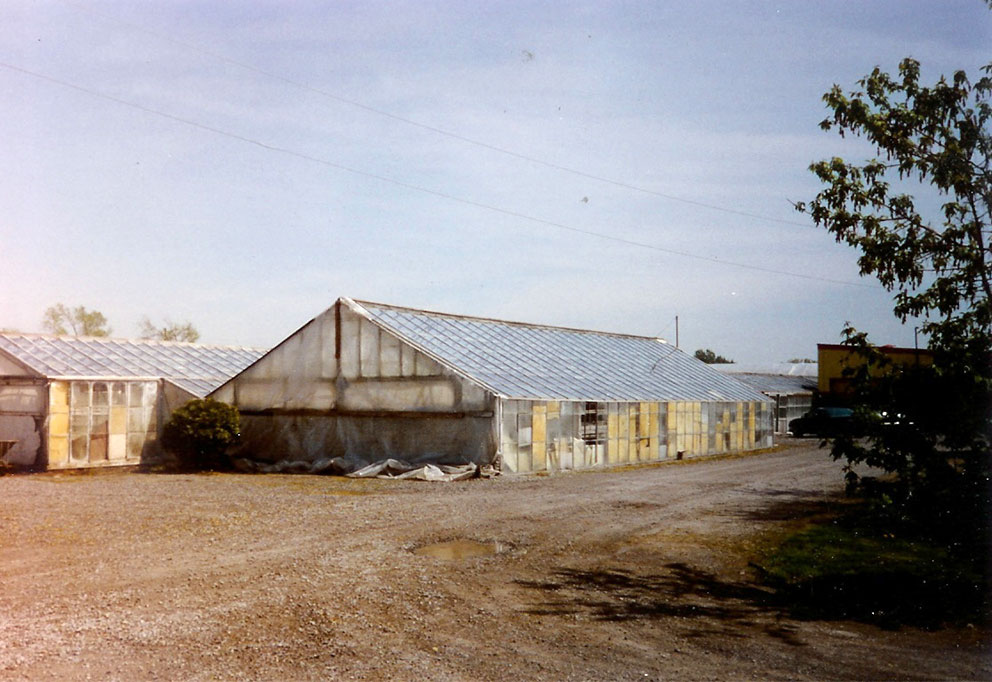 Willy's Greenhouse - 1992