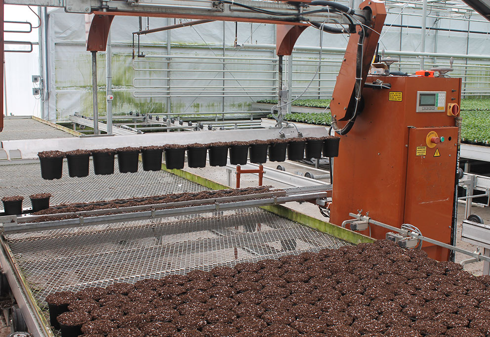 20,000sq/ft of plant propagation area added; automation introduced